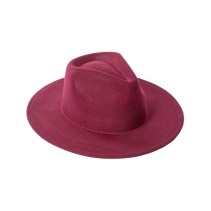 Solid Color Wide Brim Wool Felt Fedora Hat